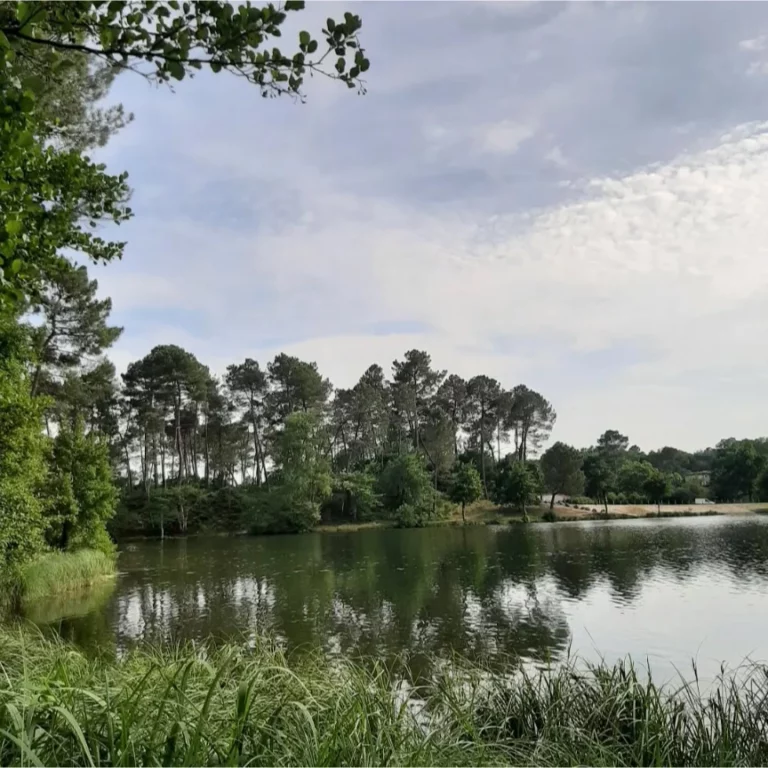 motclef5 localisation3